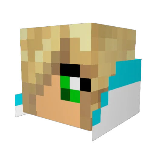 dollonhead Minecraft avatar head, 3D render