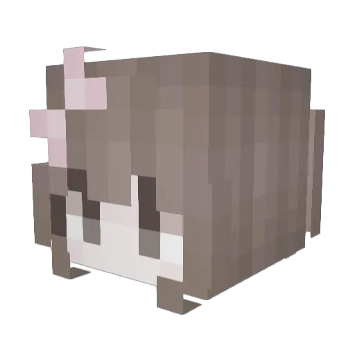 dollsai Minecraft avatar head, 3D render