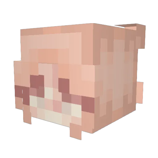dollxp Minecraft avatar head, 3D render