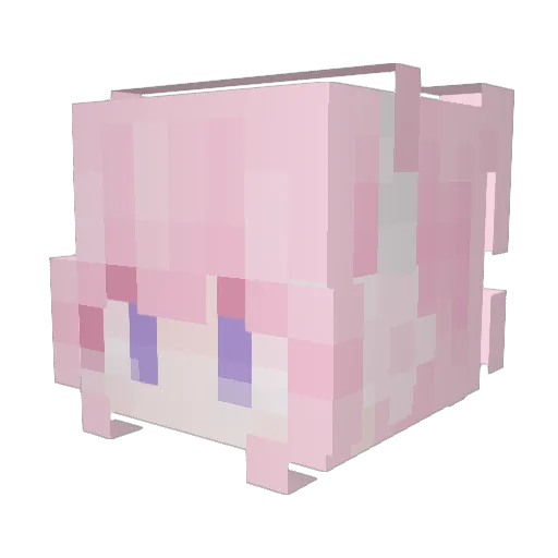 dolphin1019 Minecraft avatar head, 3D render