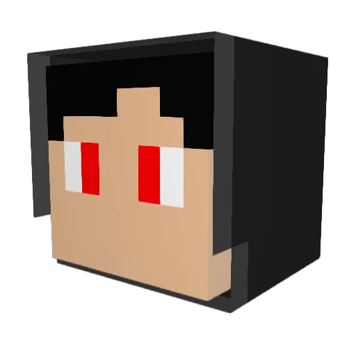 dolphin2410 Minecraft avatar head, 3D render