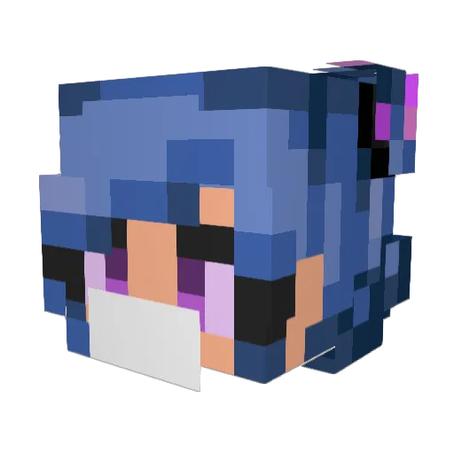 dolphin_1210 Minecraft avatar head, 3D render