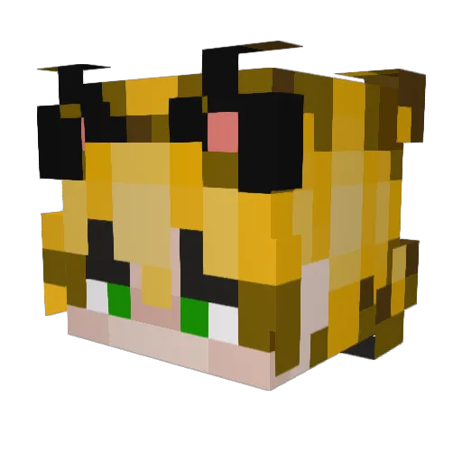 dolphinboi12345 Minecraft avatar head, 3D render