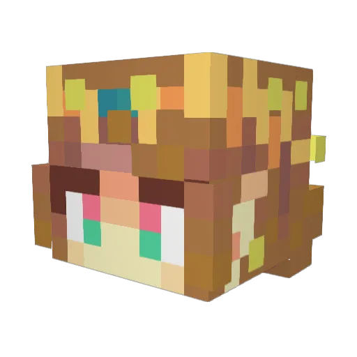 dolphinjet Minecraft avatar head, 3D render