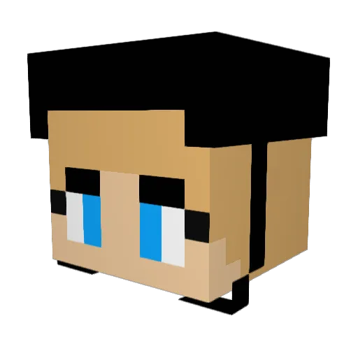 dolphinplus Minecraft avatar head, 3D render