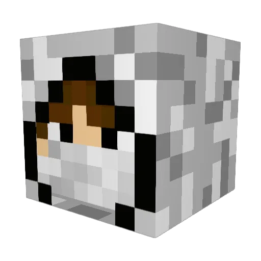 dom06 Minecraft avatar head, 3D render