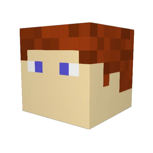 dom_141 Minecraft avatar head, 3D render