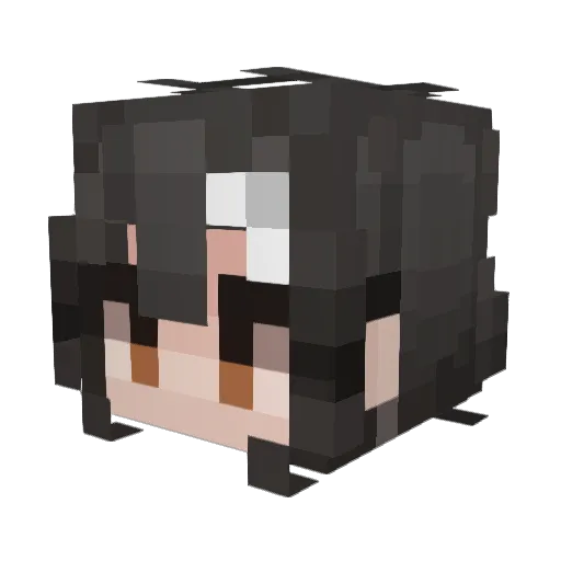 dom_sama Minecraft avatar head, 3D render