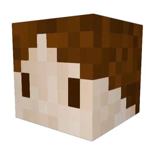 domaloma0906 Minecraft avatar head, 3D render