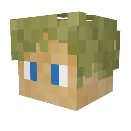 domboii Minecraft avatar head, 3D render
