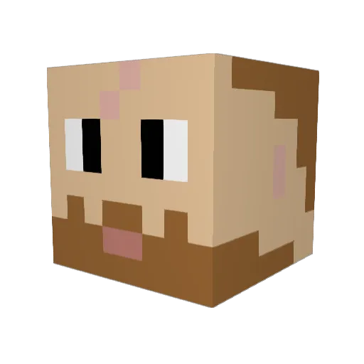 domcan Minecraft avatar head, 3D render