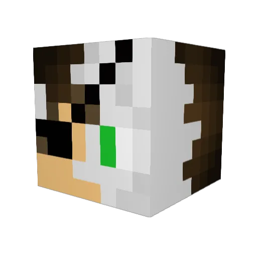 domdom94800 Minecraft avatar head, 3D render
