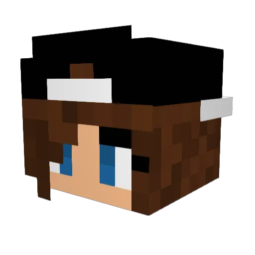 dome_1337 Minecraft avatar head, 3D render