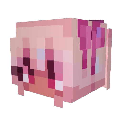 domer_ding Minecraft avatar head, 3D render