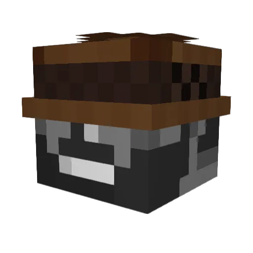 domesticraiden Minecraft avatar head, 3D render