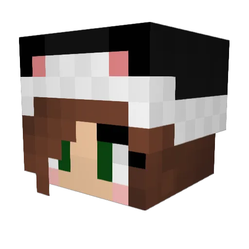 domi297 Minecraft avatar head, 3D render
