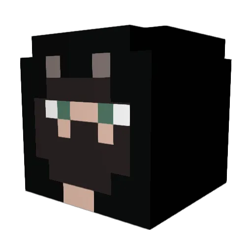 dominator2014 Minecraft avatar head, 3D render
