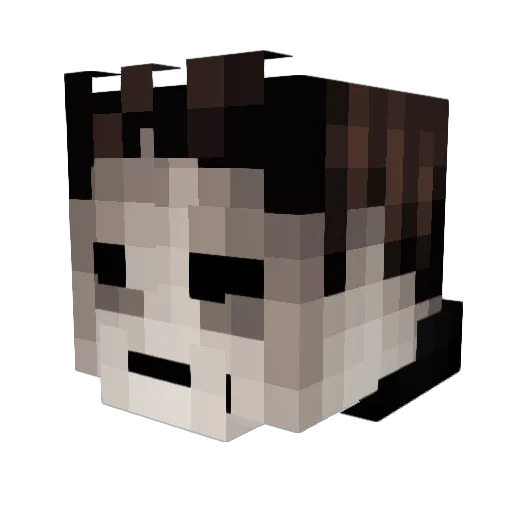 dominikk0606 Minecraft avatar head, 3D render