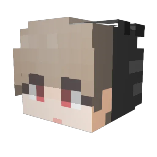 dominim Minecraft avatar head, 3D render