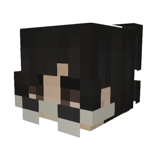 domino_mp4 Minecraft avatar head, 3D render