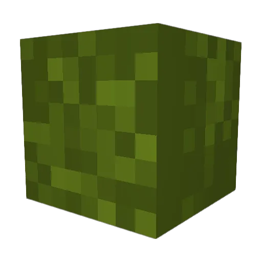 dominosex Minecraft avatar head, 3D render