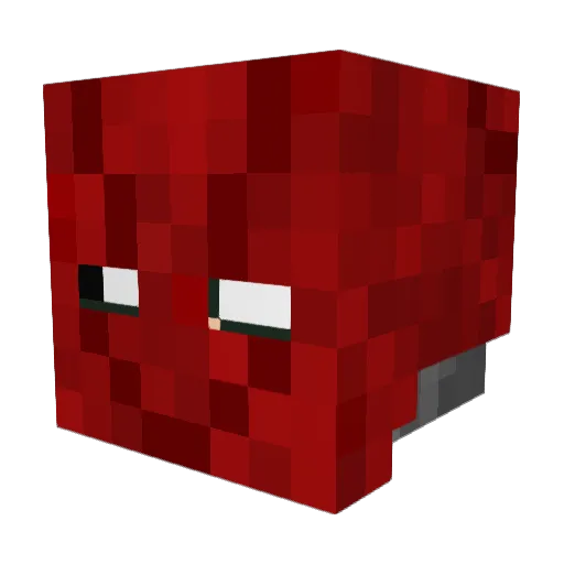 dominothedonkey Minecraft avatar head, 3D render