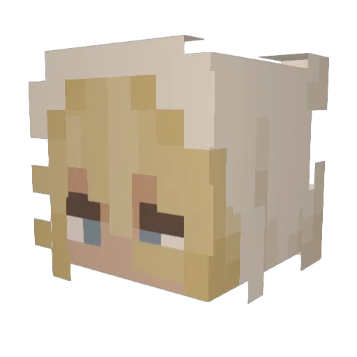 dominusfer Minecraft avatar head, 3D render