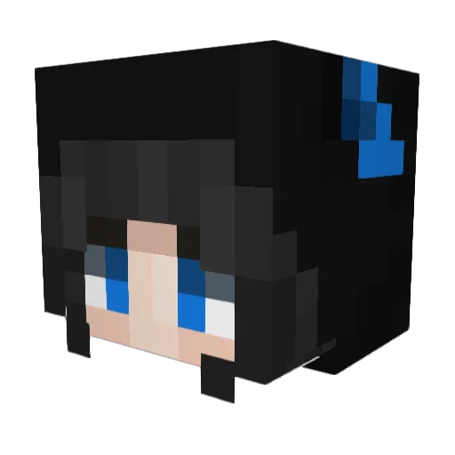 dominvis Minecraft avatar head, 3D render