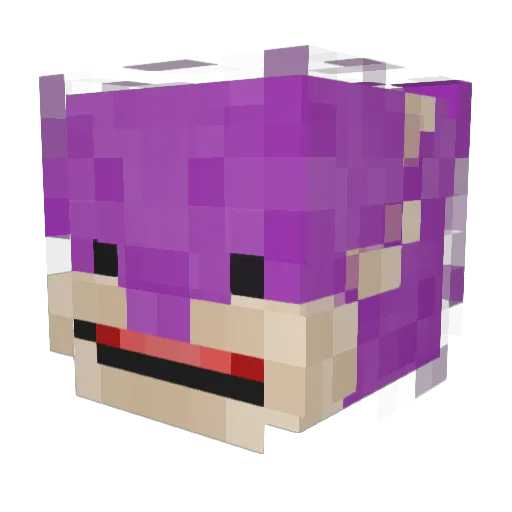 domisolm Minecraft avatar head, 3D render