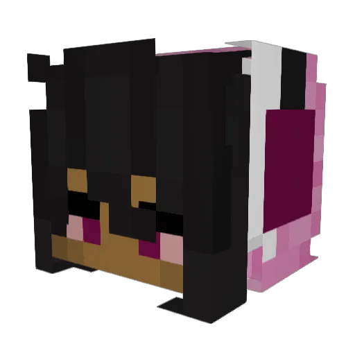 domixoxo Minecraft avatar head, 3D render