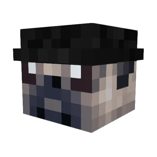 domnul_pug Minecraft avatar head, 3D render