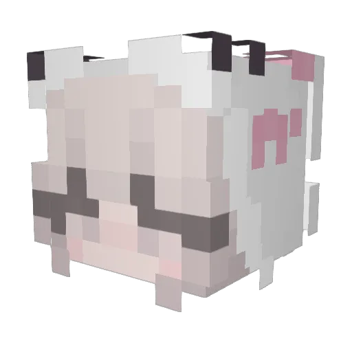 domo Minecraft avatar head, 3D render