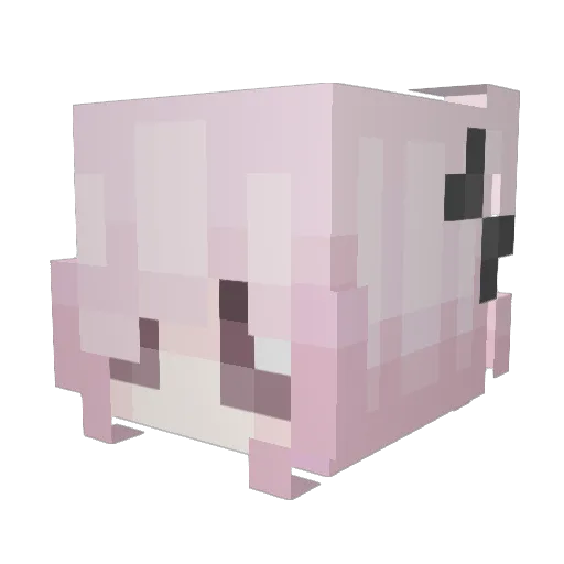 domohaii Minecraft avatar head, 3D render