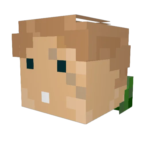 domoy0_0 Minecraft avatar head, 3D render