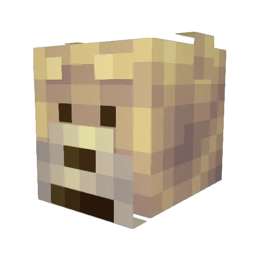 domthebomm Minecraft avatar head, 3D render