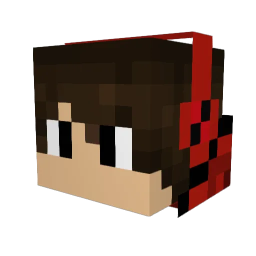 domwoodhead2001 Minecraft avatar head, 3D render