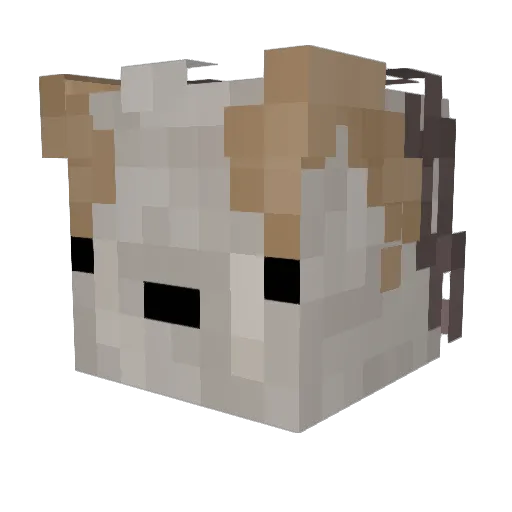 domxe Minecraft avatar head, 3D render
