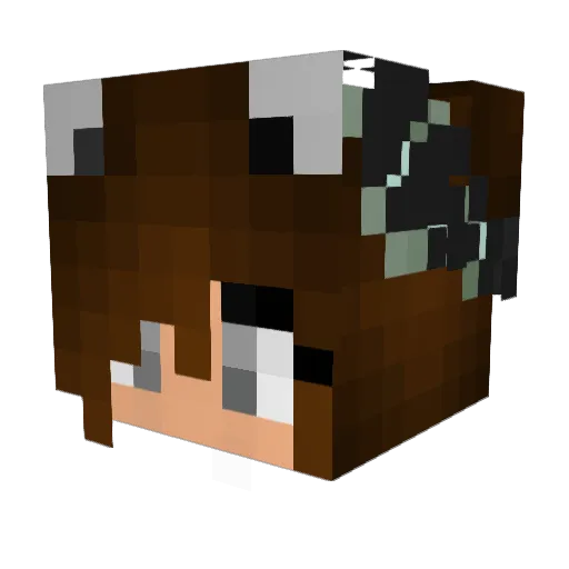 domynykaa Minecraft avatar head, 3D render