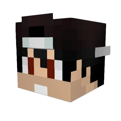 donM4ster_ Minecraft avatar head, 3D render