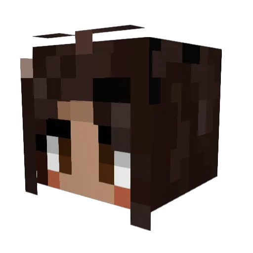 don_chungus Minecraft avatar head, 3D render