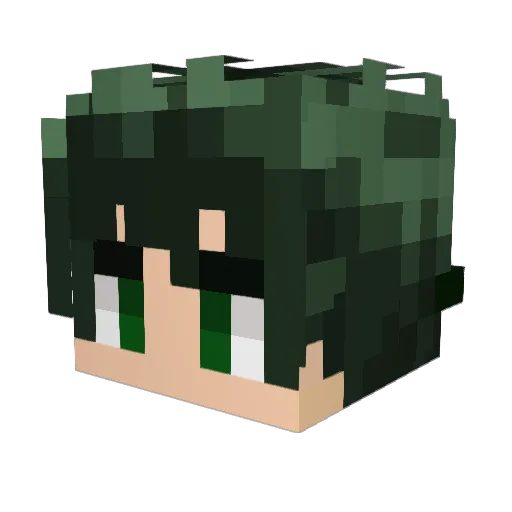 donaldduck32 Minecraft avatar head, 3D render