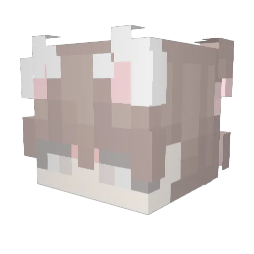 donaltri Minecraft avatar head, 3D render