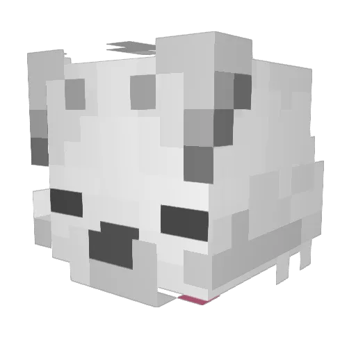 dondondonut1 Minecraft avatar head, 3D render