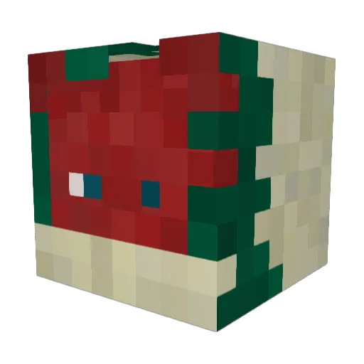 done_chan Minecraft avatar head, 3D render
