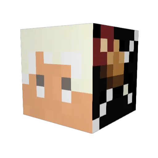 dongjie520 Minecraft avatar head, 3D render