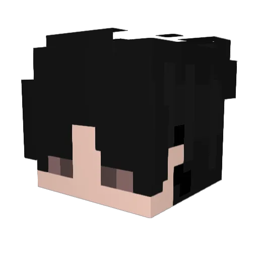 dongkexin Minecraft avatar head, 3D render