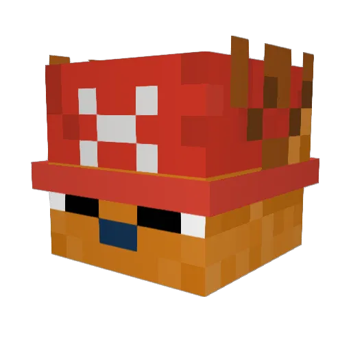 dongus9989 Minecraft avatar head, 3D render