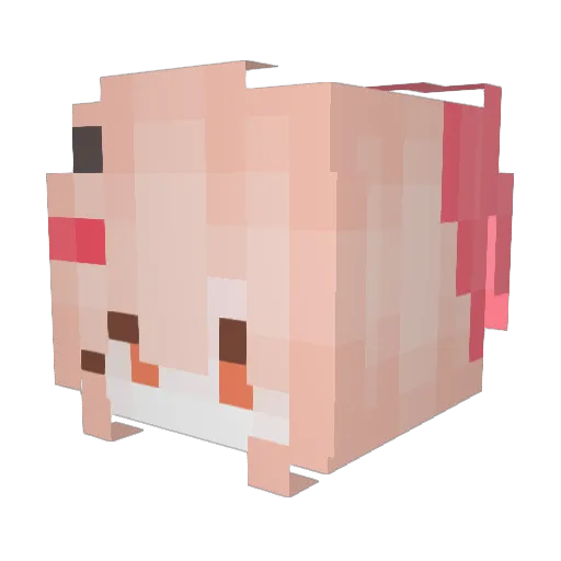 dongzhi233 Minecraft avatar head, 3D render