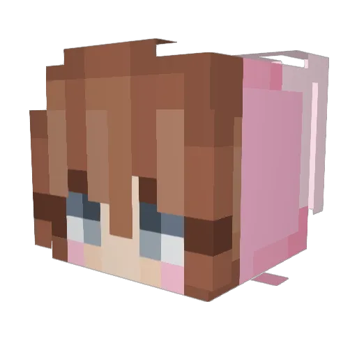 dongzhidexue Minecraft avatar head, 3D render