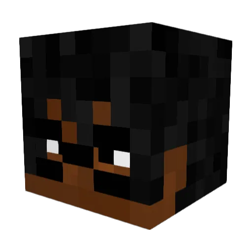 donicat Minecraft avatar head, 3D render